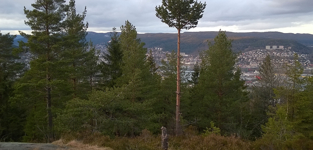 Begrensa utsikt mot Drammen fra toppen, hvor det for øvrig var svær mast, stengt bod, bord og stol og enkel bålplass.