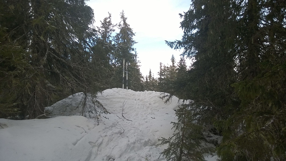Høyeste punktet; en snøhaug med masse skitråkk på. De nye Nansen-skia mine var utmerket i terrenget.