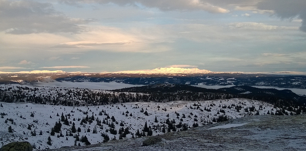 Spåtind opptrer som reneste Soria Moria.