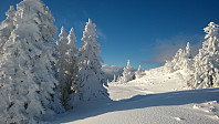 Olepetter_20170207_5899dd415eeef.jpg