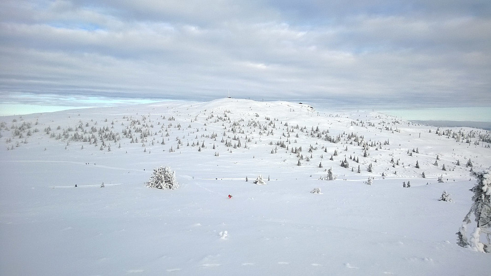 Storefjell sett fra Gullknappen.