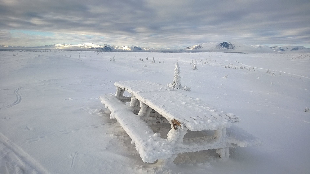 Det er satt opp bord på Gullknappen, men det fristet ikke å slå seg ned her i dag...