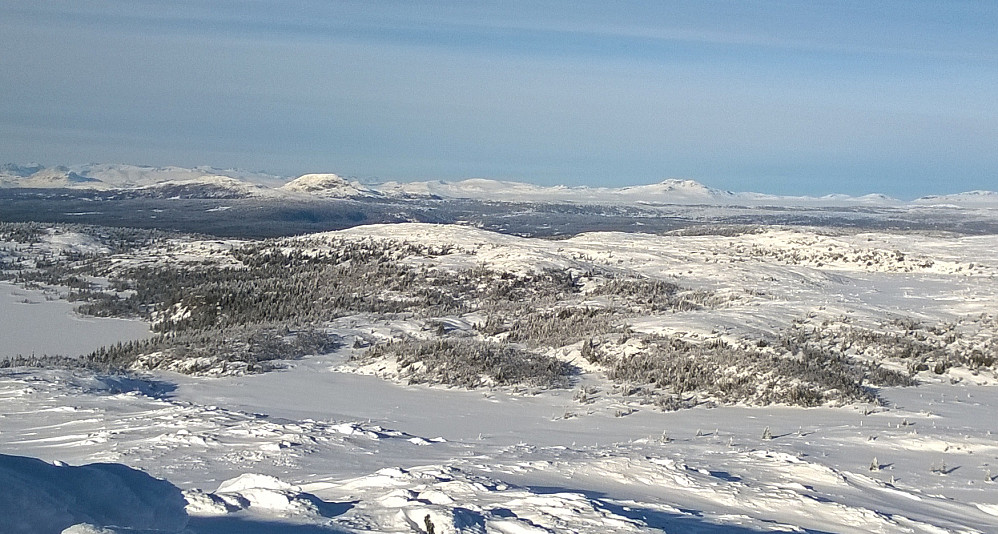 Utsikt fra toppen mot Rundemellen og Skaget i det fjerne.