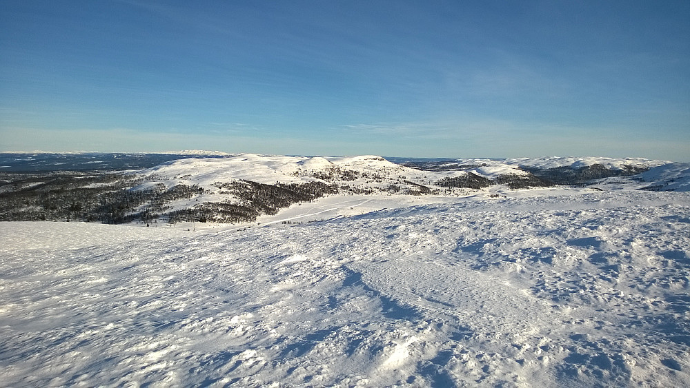 Hollastølsfjellet sett fra Raudskrinibbi.