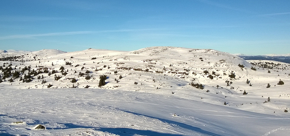 Mot Freningfjellet fra Storstølknatten.