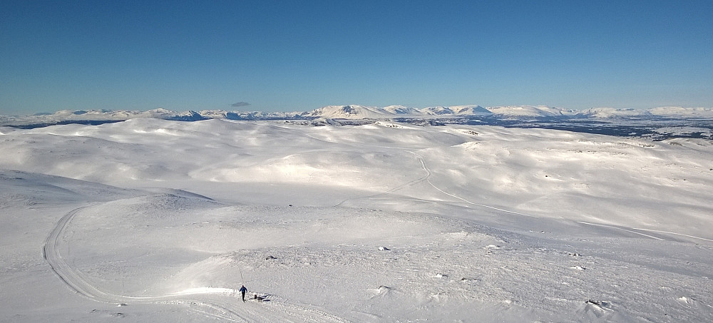 Skogshornblikk i været man alltid ønsker seg i vinterferien; kaldt og klart, uten vind! Brukbart med snø også nå.