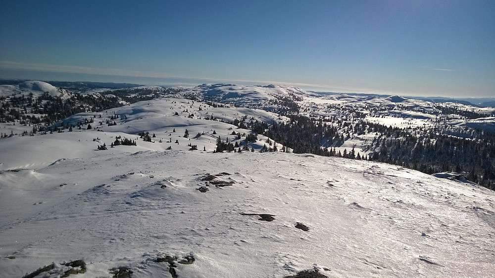 Bjørgovarden i formiddagssol.