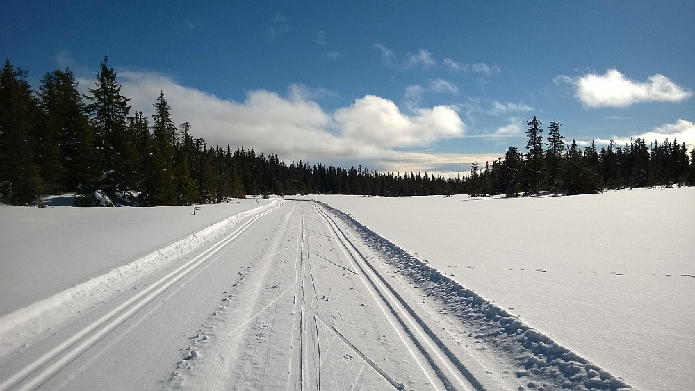 Fra skiløypa på Kinnkjølen.