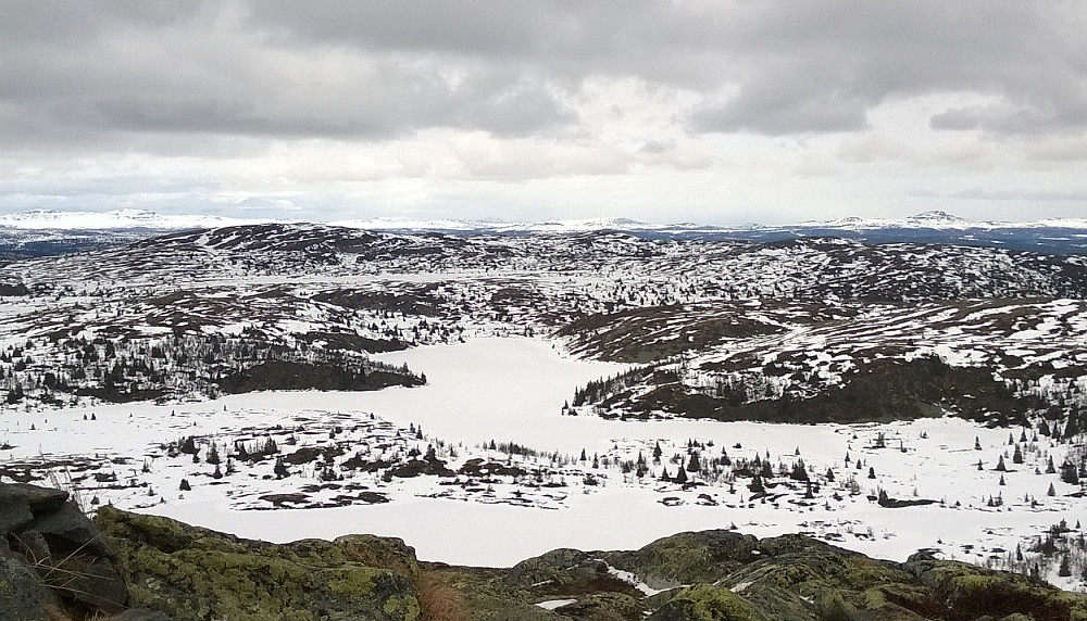 Mot Smørlifjellet.