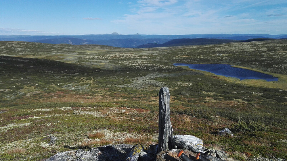 Ørnen forsvant innen jeg fikk opp mobilen, gitt...