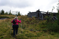 Olepetter_20180825_5b81a68d1c3fa.jpg