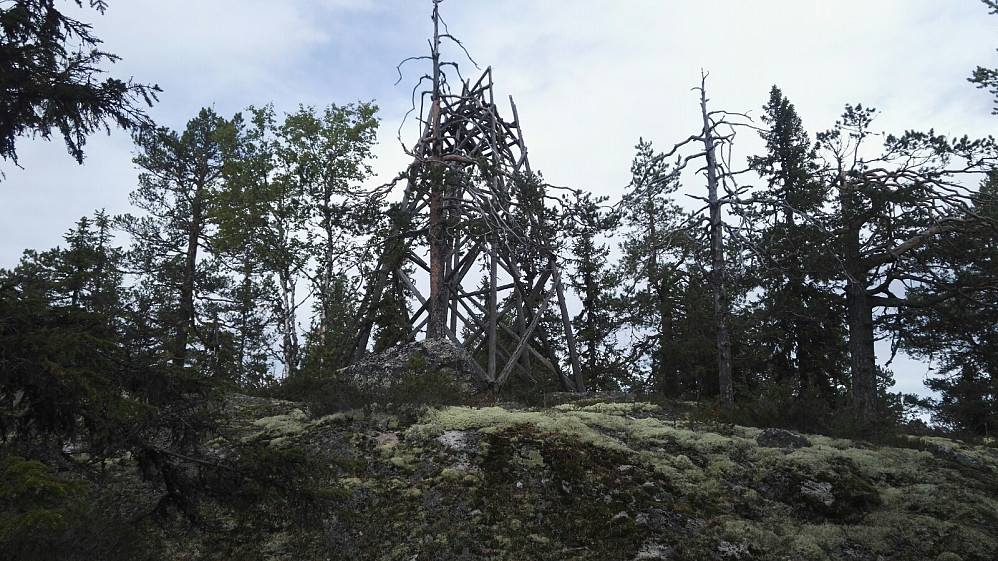 Dette gamle tårnet må da snart gå over ende? Jeg lurte på om jeg skulle puffe litt til en av bærebjelkene...