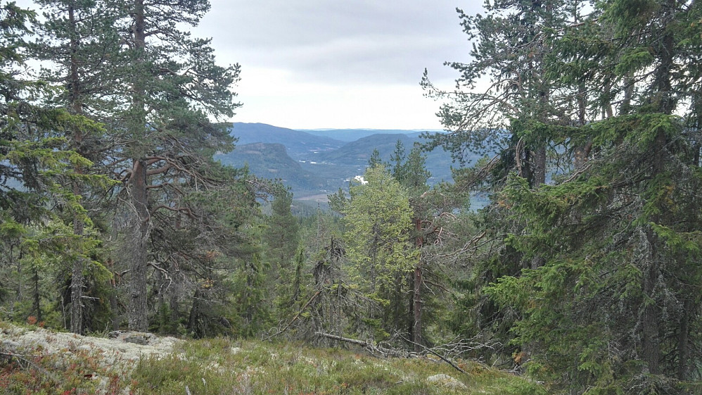 Mot Puttekollen og søre del av Begnadalen.