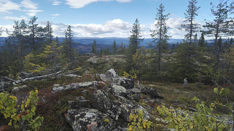 Utsikt mot nord.