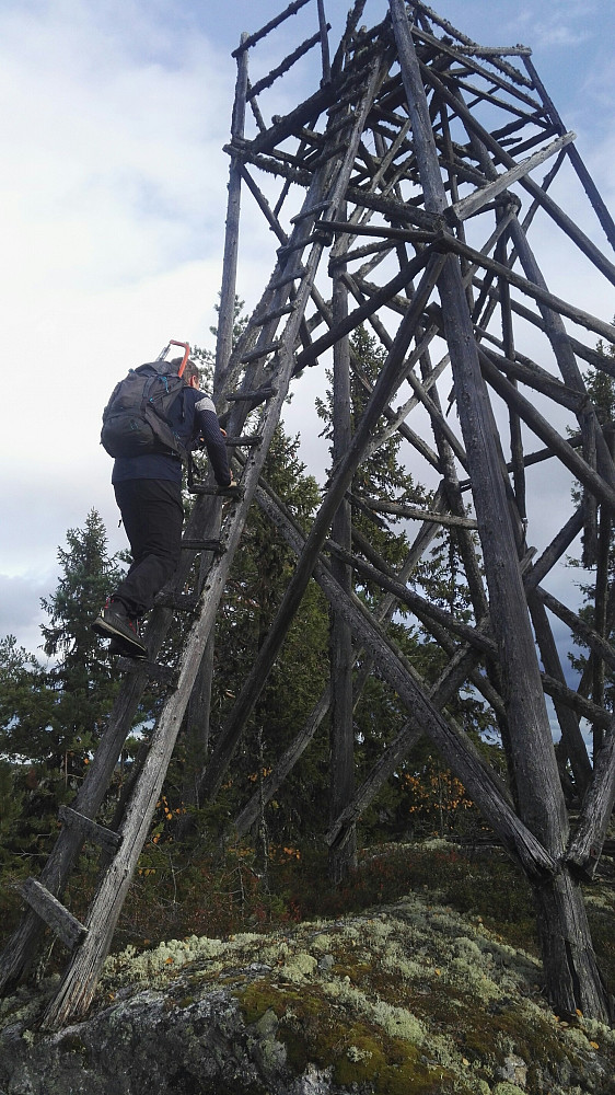 Sønnen vågde seg et par meter opp i det vaklevorne tårnet. Vi prøvde å skyve det overende, men jammen står det fortsatt godt.