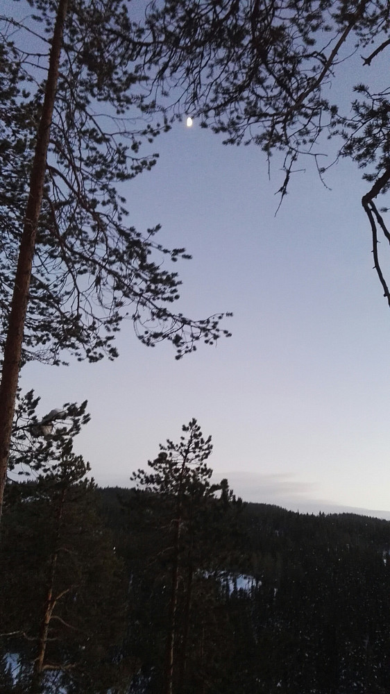 Måneskinn.
