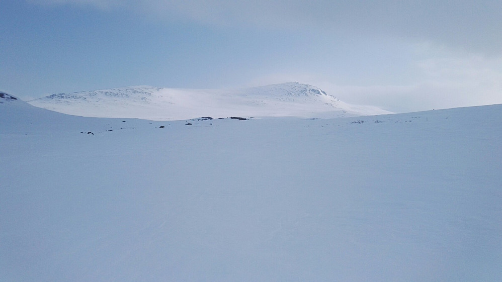 Fortsatt brukbar sikt, og flanken som ledet opp nord for høyde 1732 virket fin og snørik, som betød behagelig retur. Ikke for bratt var det heller.