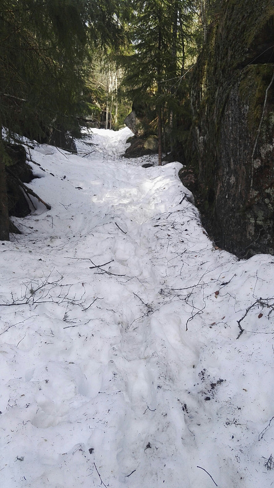 Stien går opp i skyggefullt terreng etter hvert, og i et langt skar lå det jammen mye snø fortsatt.
