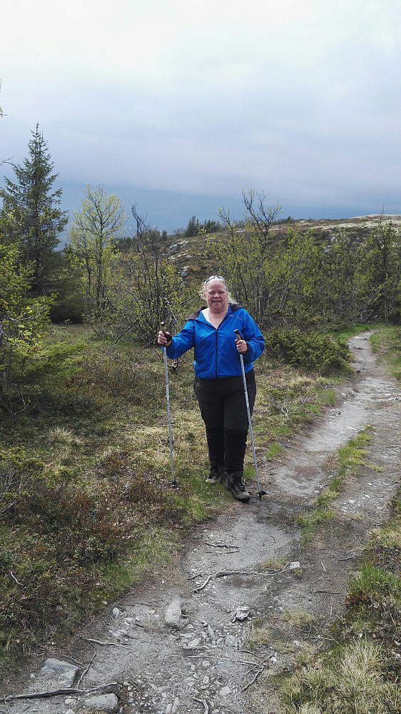 En mørk vegg kom fra sør, best å snu.
