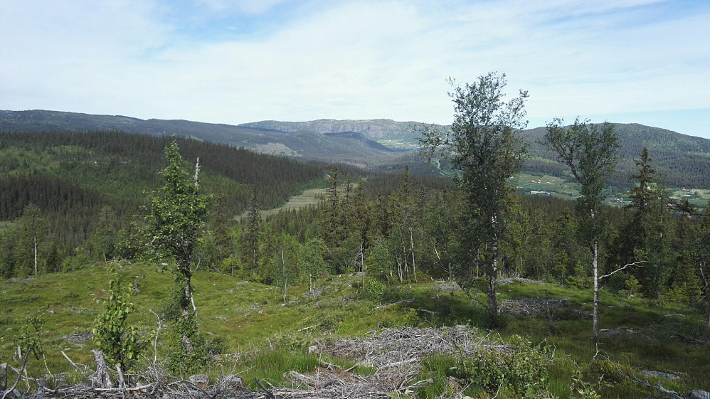 Mot Stavedalen og Makalaus, fra bakkene opp mot Høgehaugen.