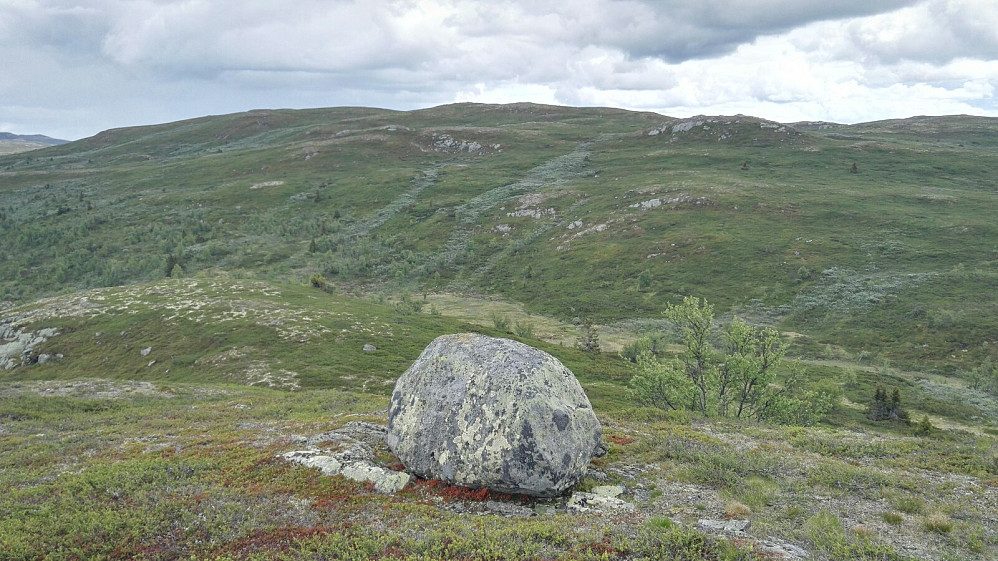 Fra Ryggetrøfjellet mot Bjørnehalli.