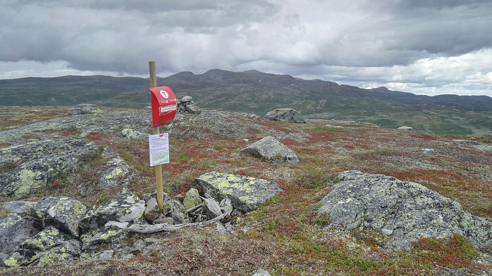 Kassa på Bjørnehalli med Spåtind bak.