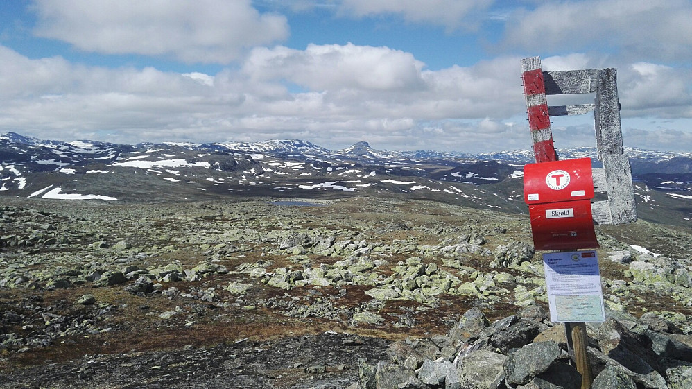 Dagens hovedmål, Skjøld og kremtoppkassa. Fortsatt en stund igjen før side 1 blir full i boka her...