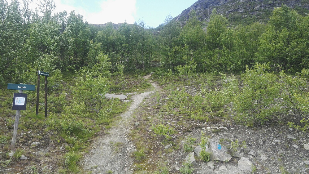Denne stien var ny for meg, bratt og grei opp til Nøsakampen.