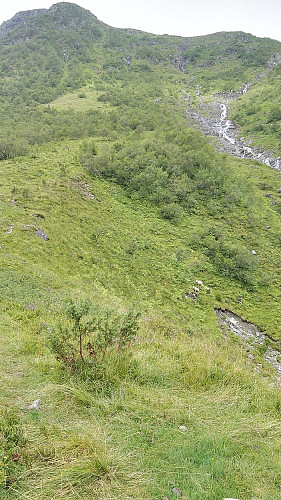 Ruta går ganske rett opp ryggen/gressflanken midt i bildet, hele tiden til venstre (sør) for bekken.