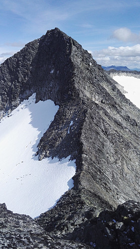 Hele vestegga sett fra oppstigningen mot Stølsnostind. De utsatte svaene er i øvre del.