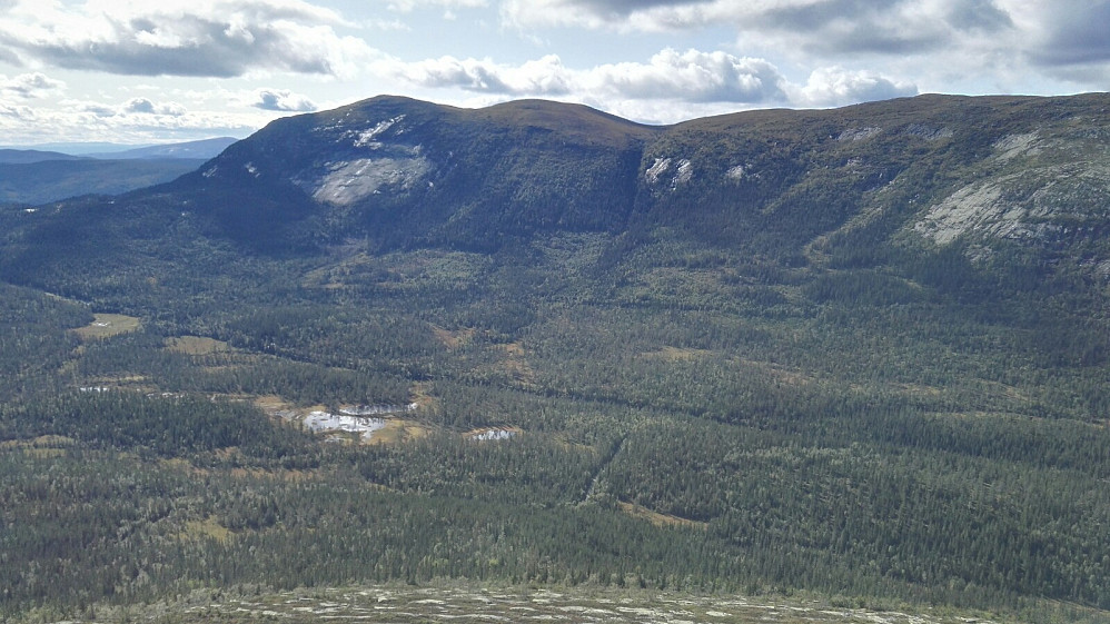 Bukollen i sørvest.