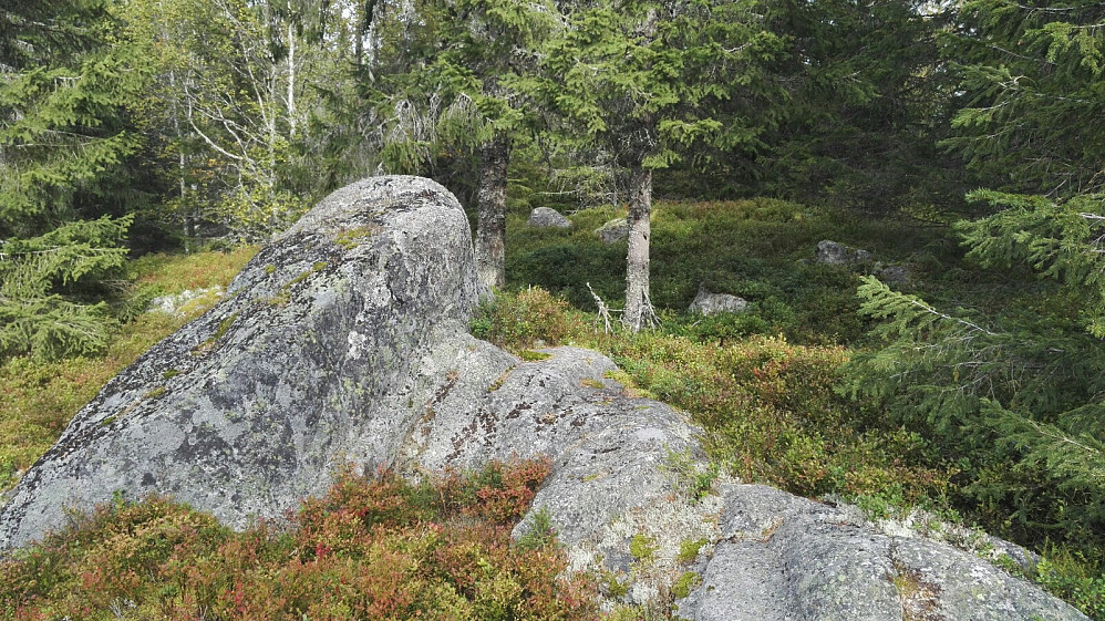 Av flere mulige toppunkt, var denne knatten det beste.