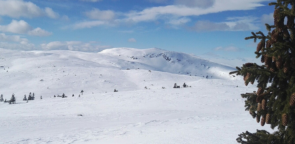 Binnhovdknatten fra nord (Gamlestølknatten).