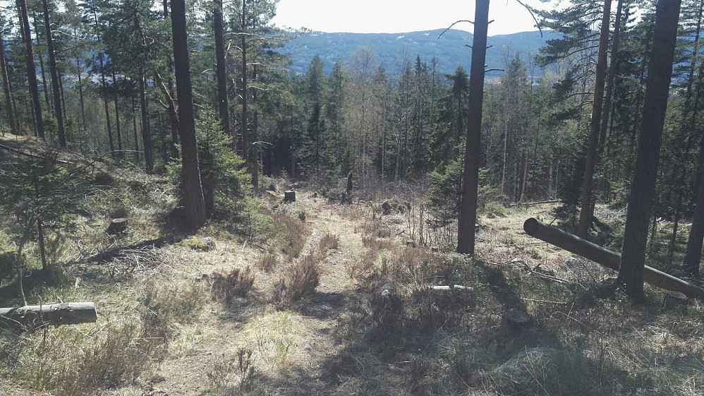 Stien/kjerreveien. Noen steinvarder viser vei også.