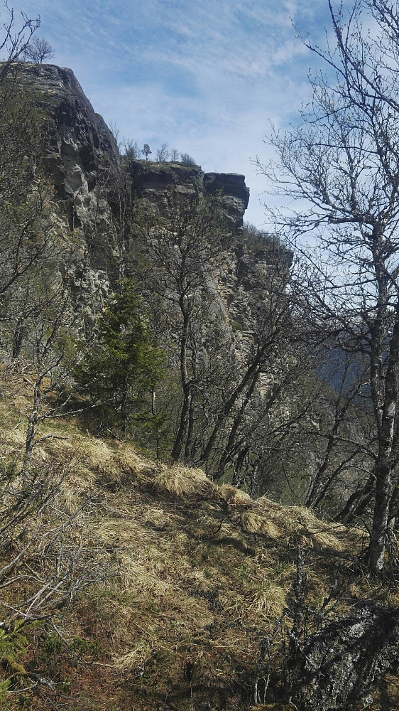 Imponerende klipper når jeg nærma meg toppen. Bjørnsonprofilen. Var utpå der etterpå. En gigantisk sprekk tyder på at klippen vil ramle ned etter hvert.