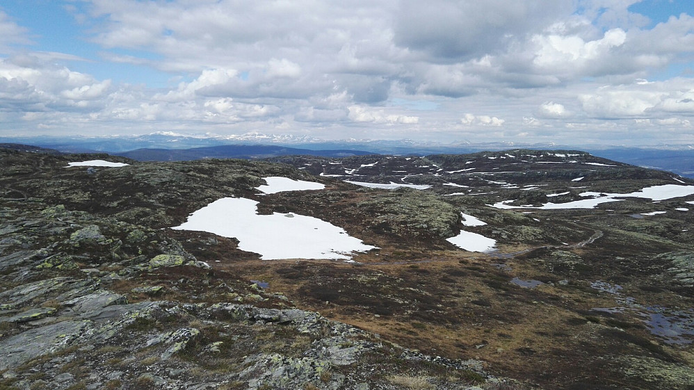 Utsikt mot nord og Jotunheimen.