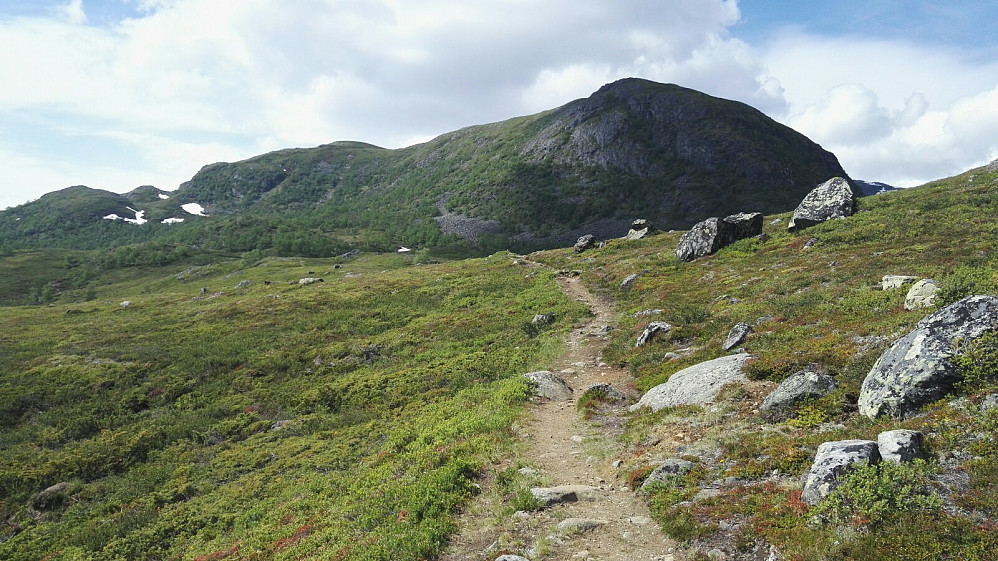 Toppen sett fra stistart ved Leirungsbuin.