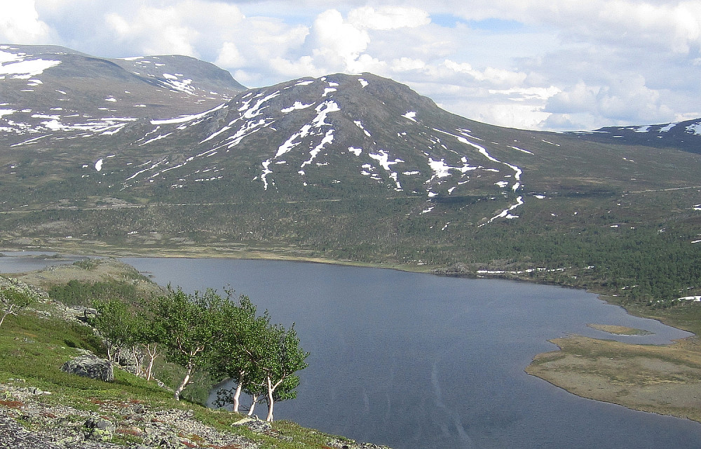 Toppen sett fra Gjendehøe i nordvest.