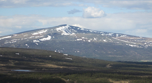 Saukampen sett fra sørvest (Skardfjellet ved Skåbu).