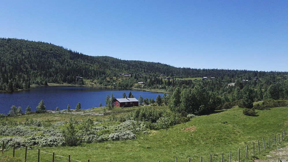 Tok meg 50 min å sykle opp til Torgrimstølen, der stien til Makalaus starter.