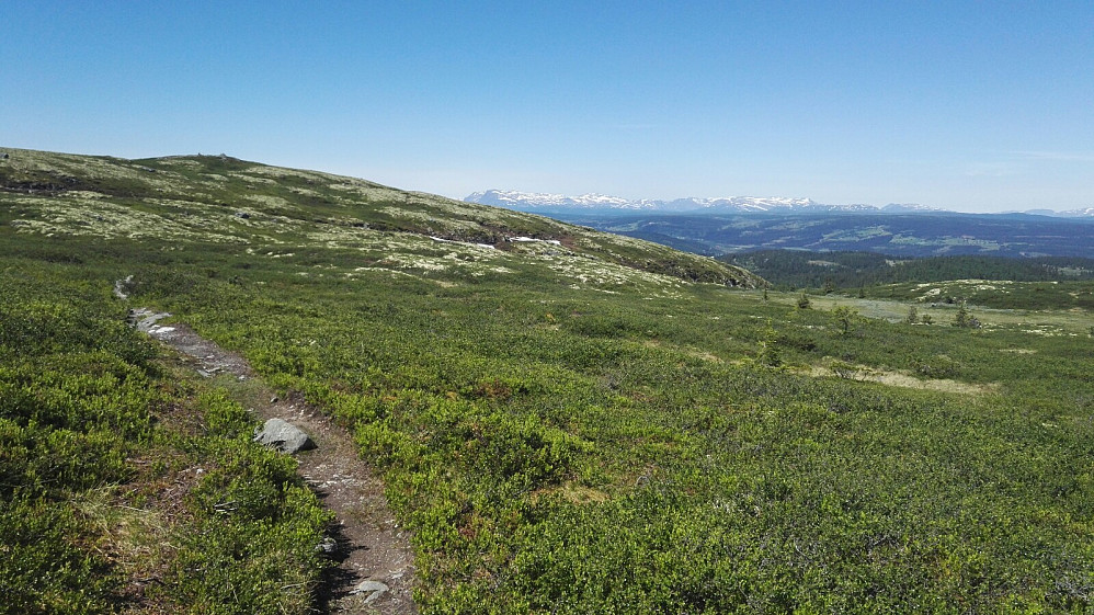 Toppen, med Hemsedalsfjell bak.
