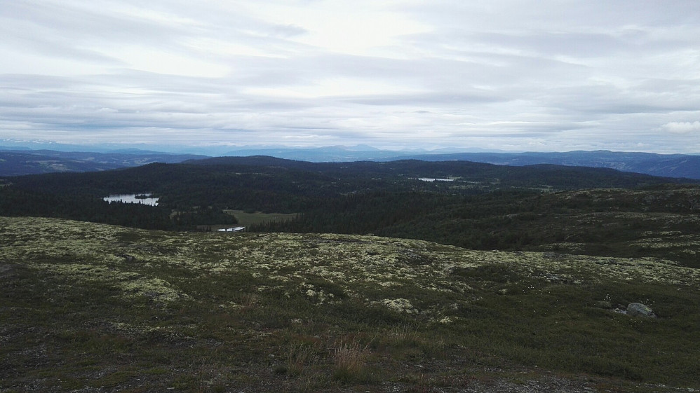 Topputsikt