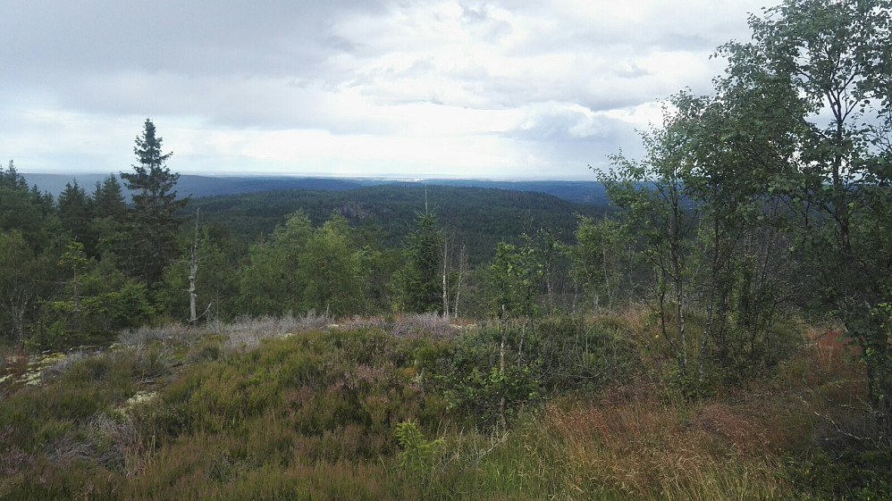 Utsikt fra Høgmyrpynt.
