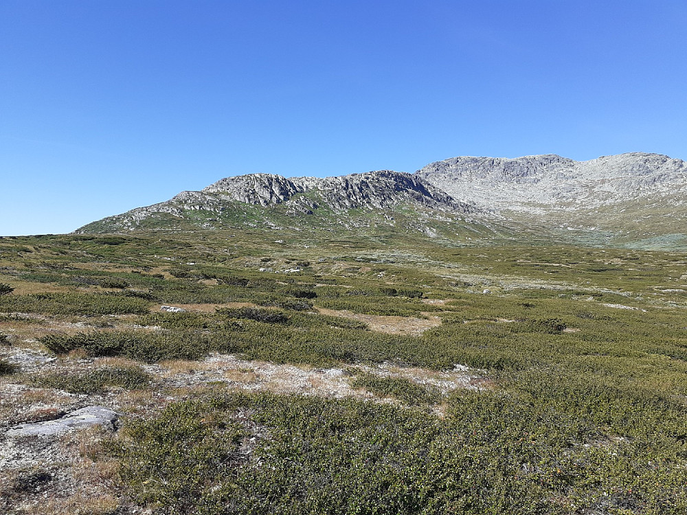 Gikk over Kringlehøgdi i dag, til en forandring.