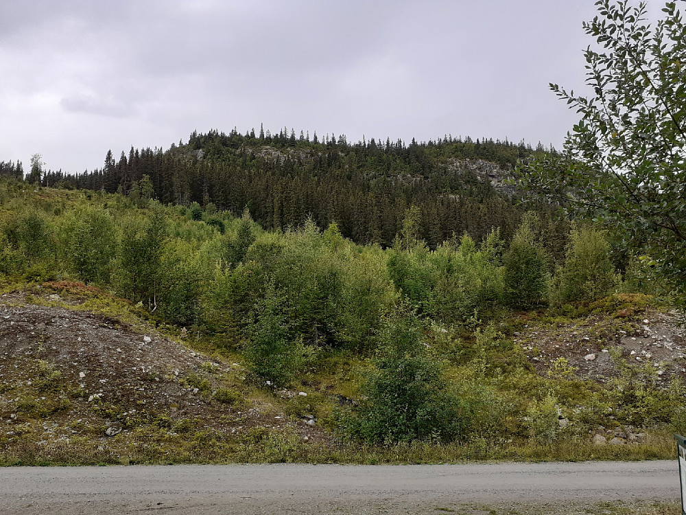 Langeberget fra parkeringa.