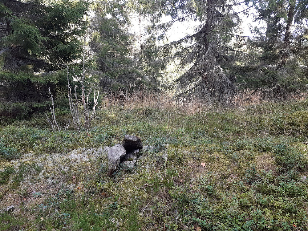 Virket som dette var rødnåla.