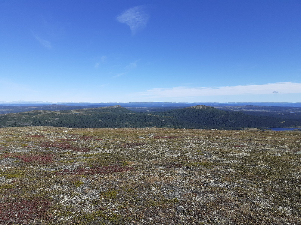 På Snuen, mot Ormtjernkampen og Dokkampen.