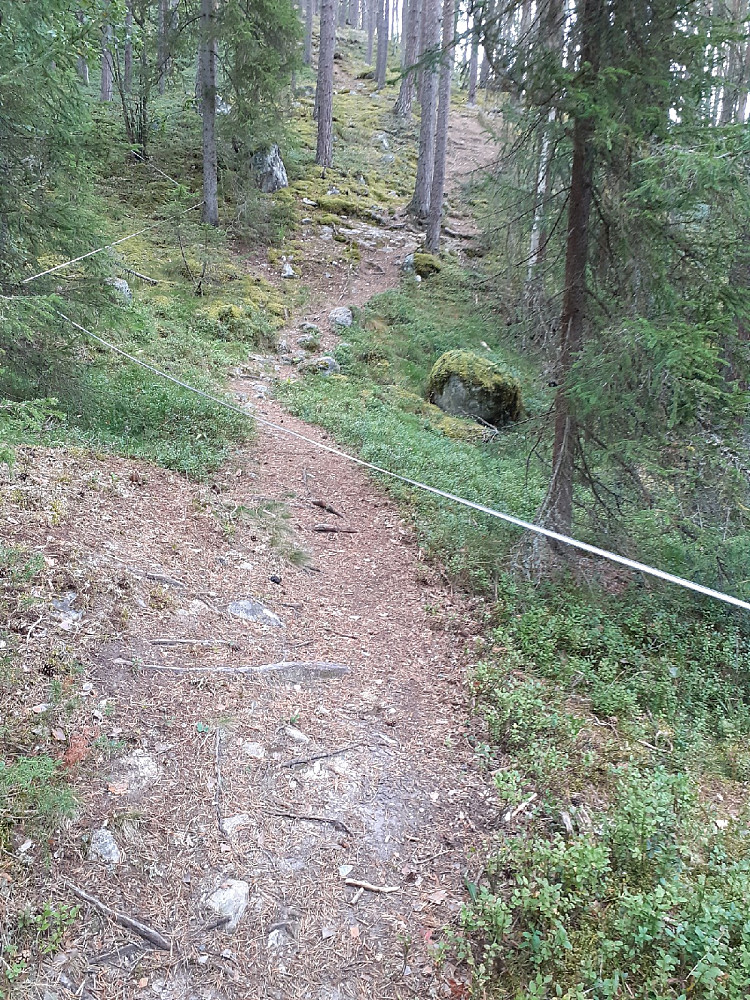 Den blåmerka stien krysser et potensielt strømførende gjerde. Da blir jeg litt usikker.