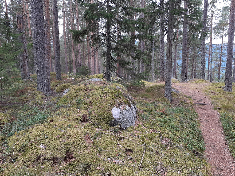 Høyeste punkt var ikke markert.