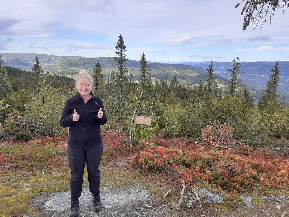 Utsikt mot Reinli